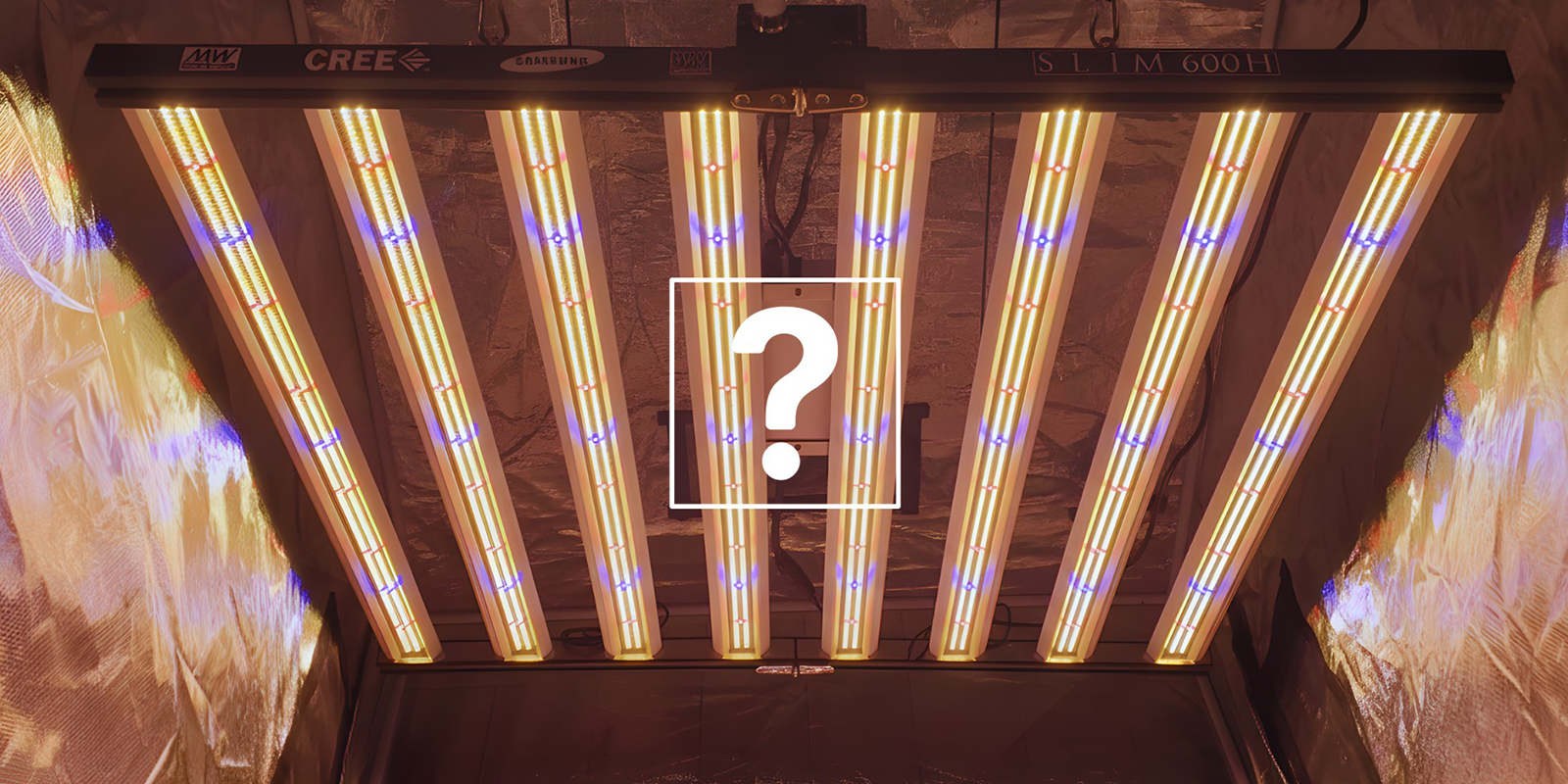 Come scegliere il programma di illuminazione giusto