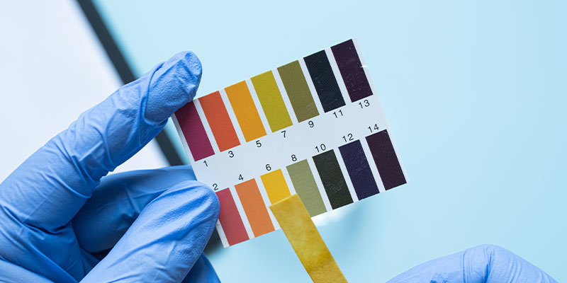 Regolare il pH del terreno o dell'impianto idroponico