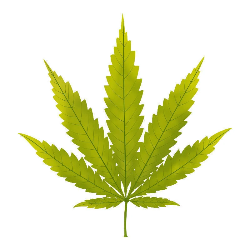 Carenza Di zolfo Nelle Piante Di Cannabis: Primi sintomi della carenza di zolfo