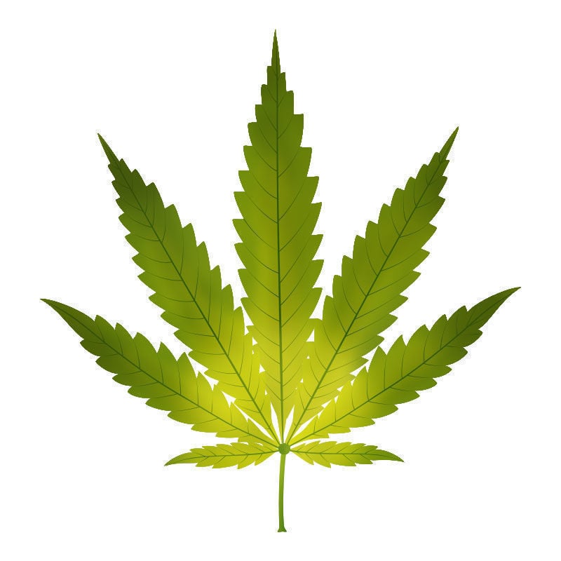Carenza Di ferro Nelle Piante Di Cannabis: Primi sintomi della carenza di ferro