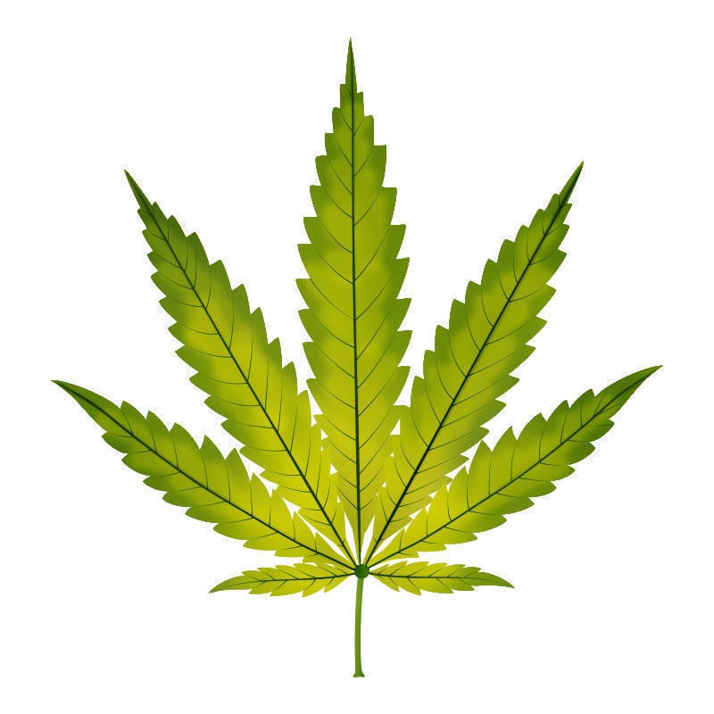 Carenza Di ferro Nelle Piante Di Cannabis: Progressione della carenza di ferro
