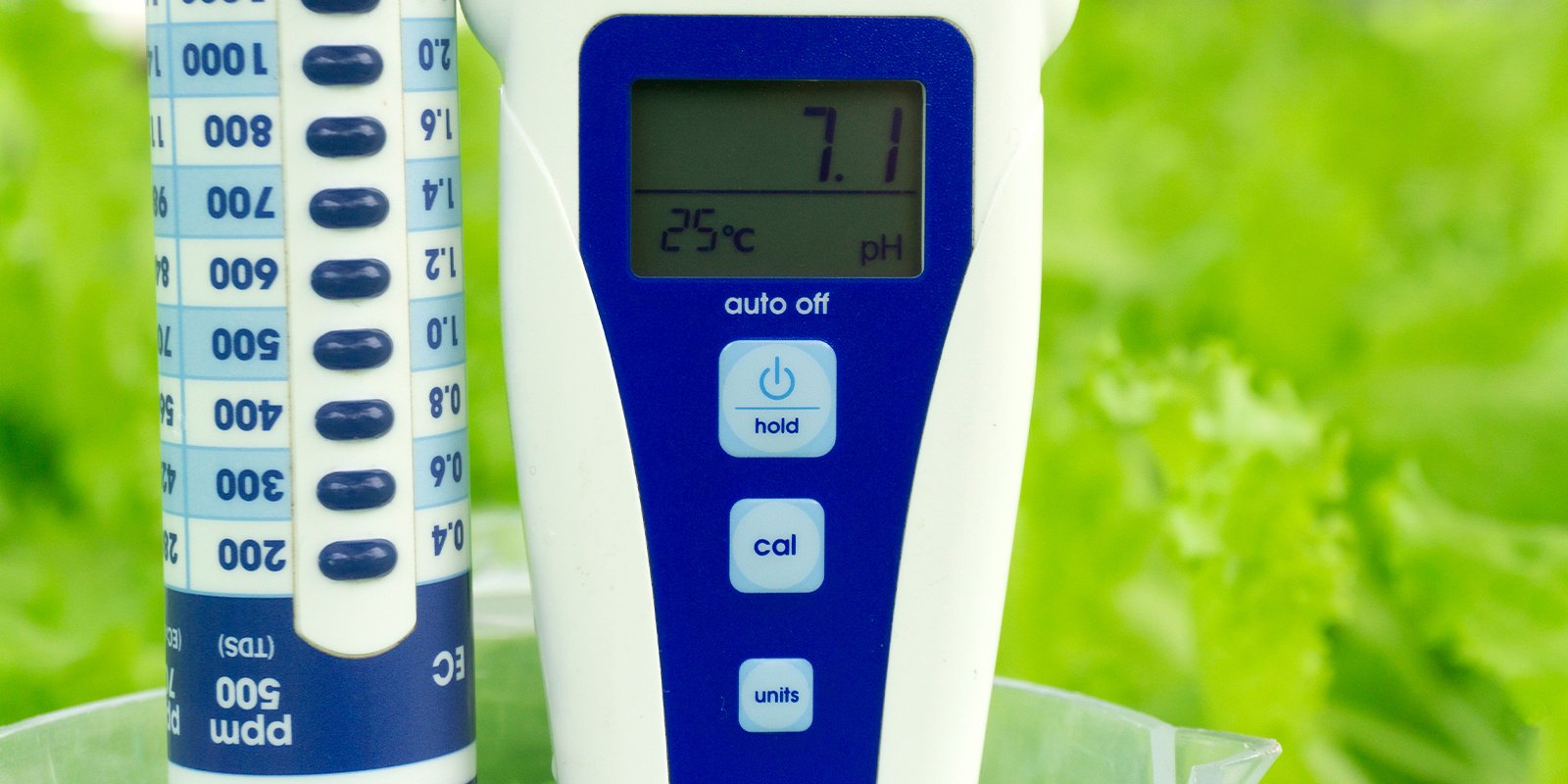 4. Utilizzare strumenti diagnostici