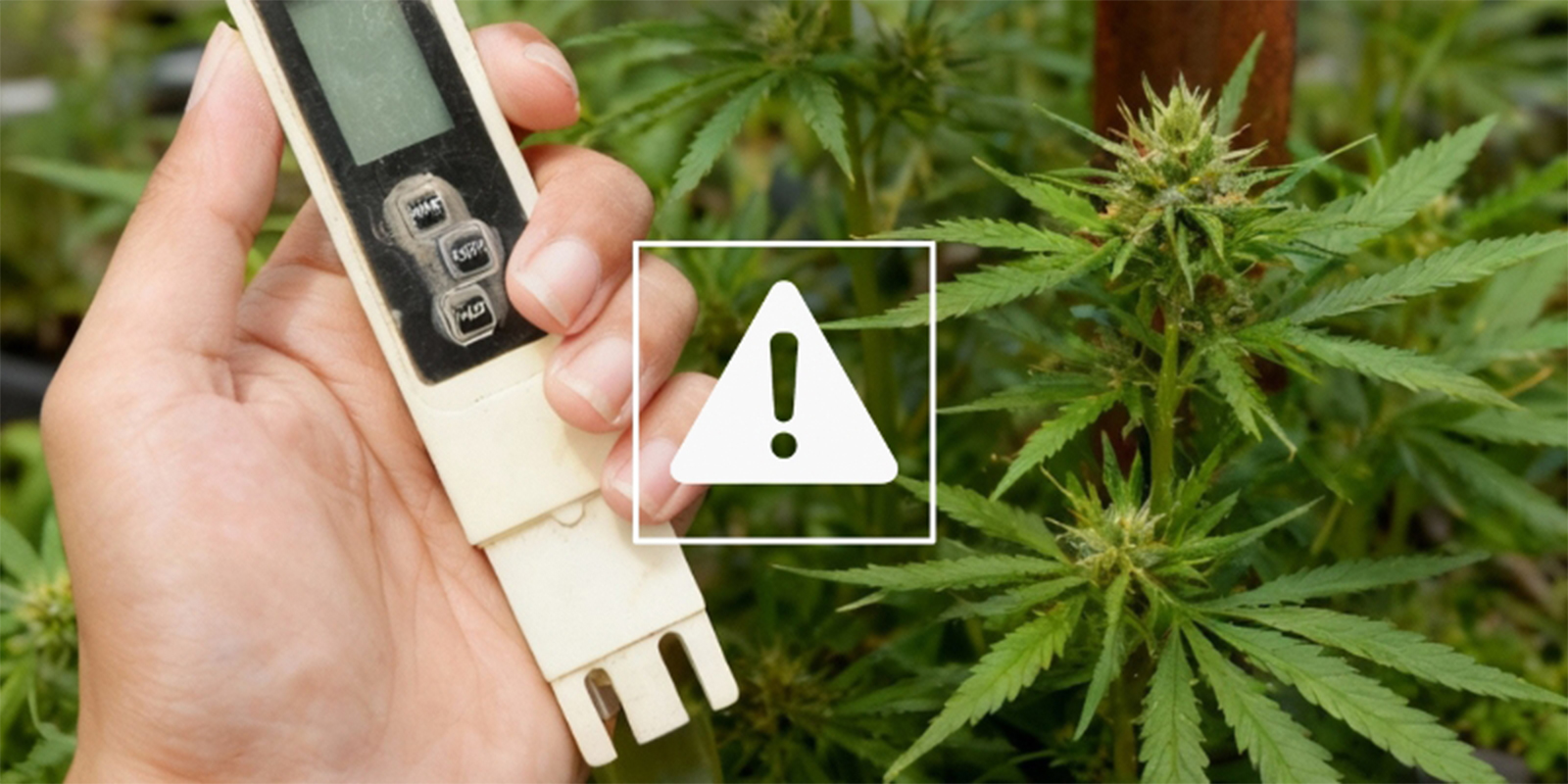 Problemi comuni con l'EC e come risolverli