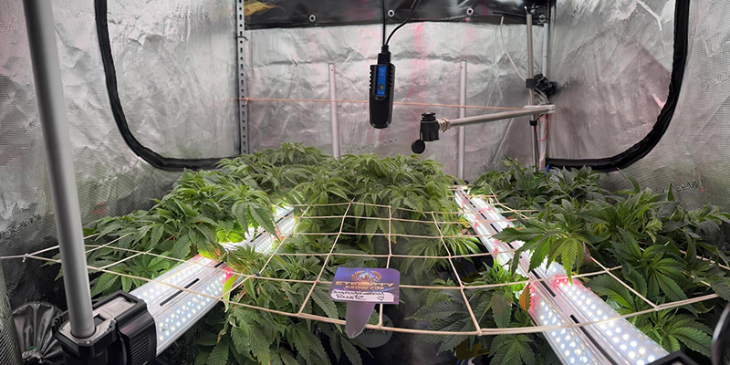 Valutazione della tua grow room