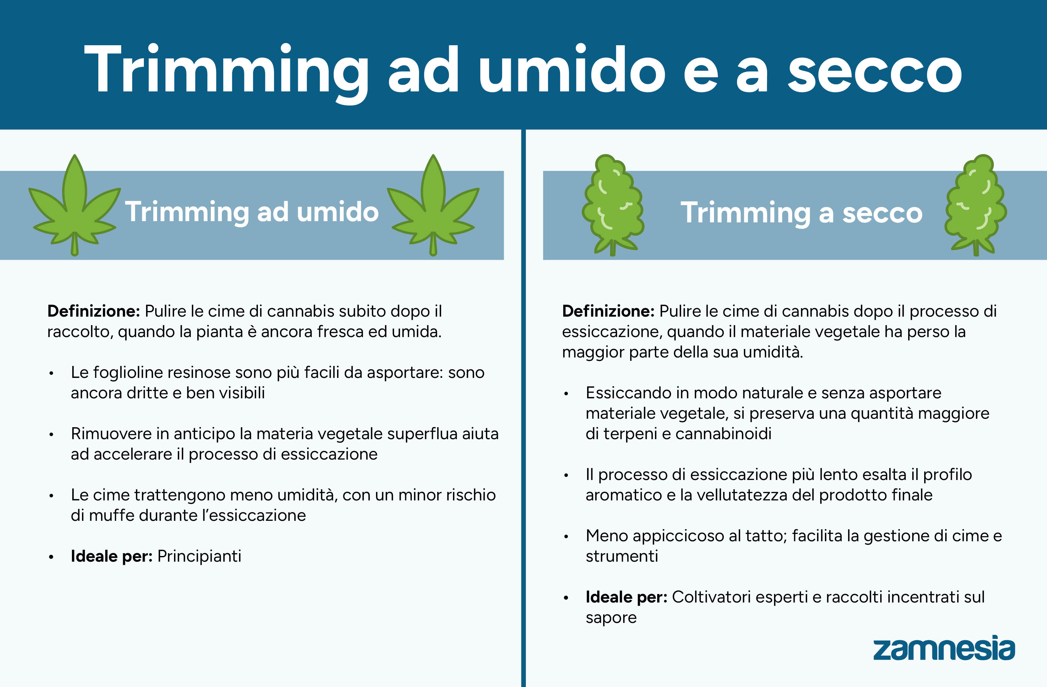 Trimming ad umido e a secco: Qual è il metodo migliore?