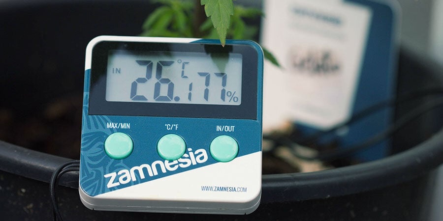 Come Innaffiare Le Piante Di Cannabis: Umidità relativa