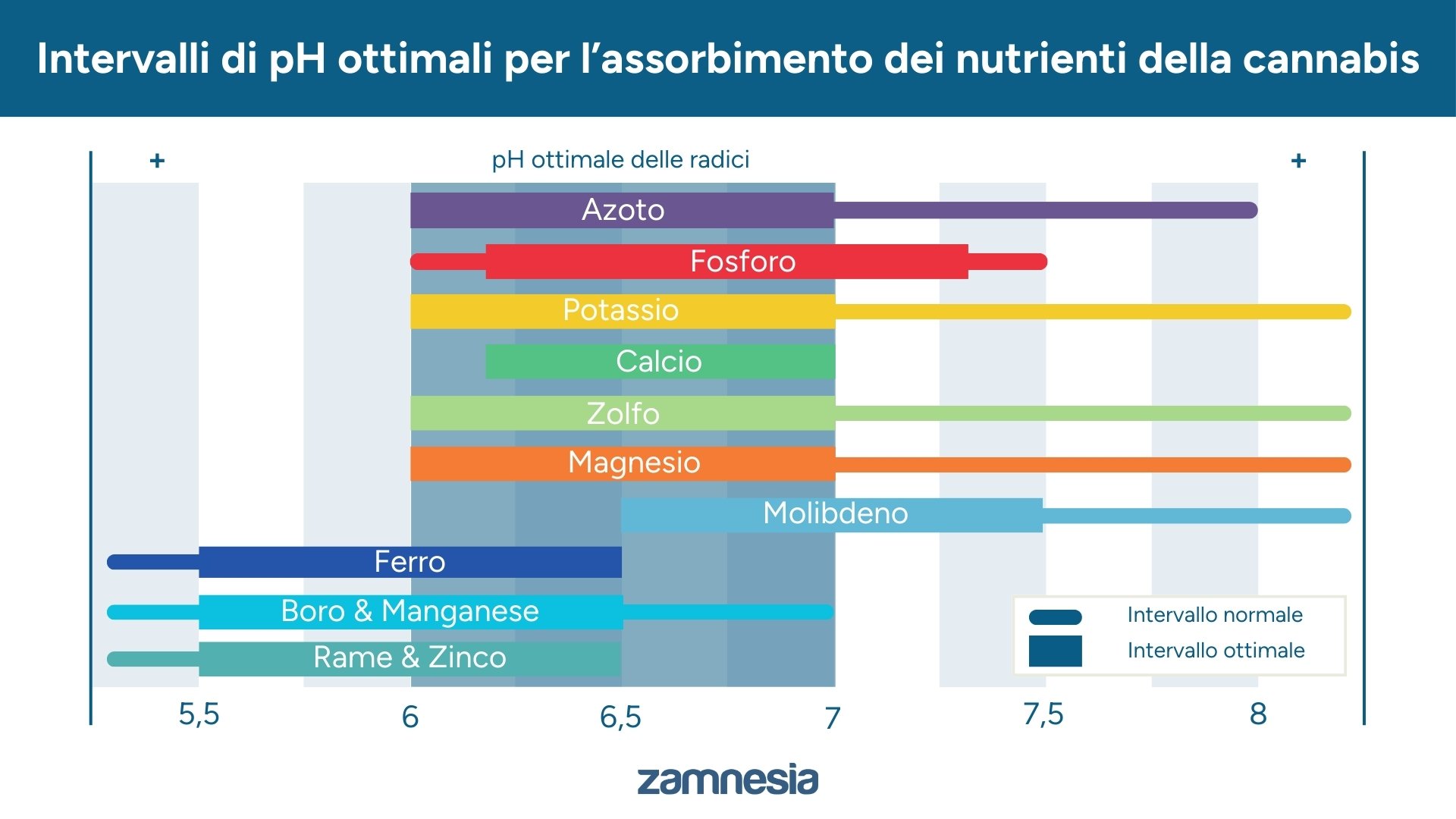 Intervalli di pH ottimali per l&rsquo;assorbimento dei nutrienti della cannabis