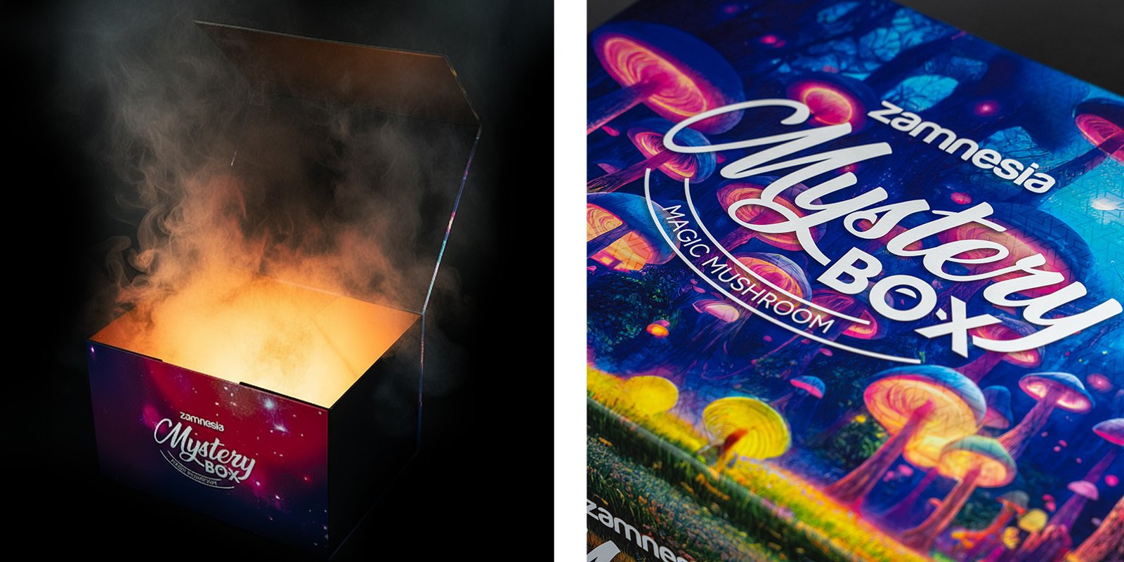 Zamnesia - Magic Mushroom Mystery Box: Più di 270€ di Sorprese sui Funghi