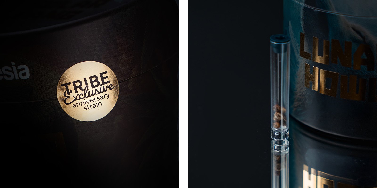 Aromi, sapori ed effetti della Lunar Howl: Un delizioso profilo aromatico con note di gasolio e caramello Aromi, sapori ed effetti della Lunar Howl: Un delizioso profilo aromatico con note di gasolio e caramello