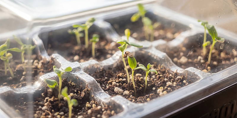 Perfetto per ogni coltivatore