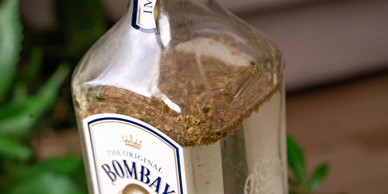 Inserite Il Materiale Vegetale Nella Bottiglia Di Gin