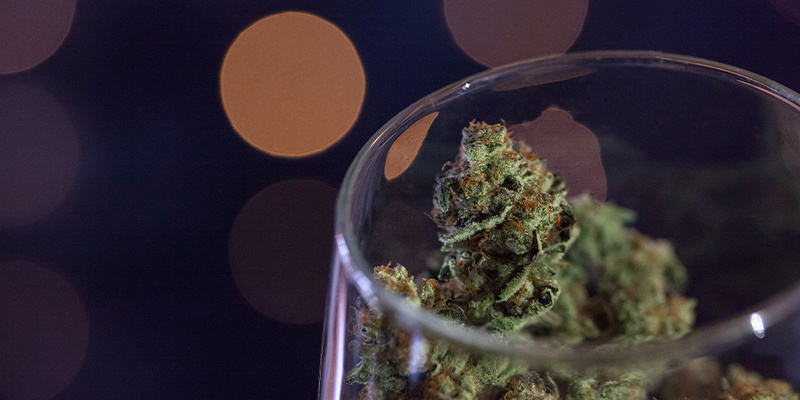 Come Trasformare La Cannabis In Vino