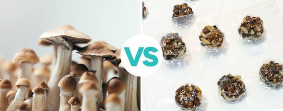 Che Differenza C'è Tra Tartufi Allucinogeni e Funghi Allucinogeni?