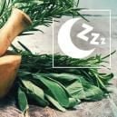 Le Migliori Erbe Naturali Per Conciliare Il Sonno