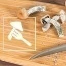 I Migliori Metodi Per Assumere I Funghi Allucinogeni