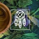 Che Cos'è La Calea Zacatechichi?