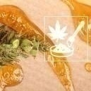 La guida definitiva ai concentrati di cannabis