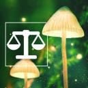 Come Pesare E Dosare Con Sicurezza Le Sostanze Psichedeliche