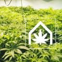 Come Creare E Conservare Uno Spazio Per Coltivare Cannabis