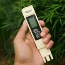 Miglior EC per la cannabis