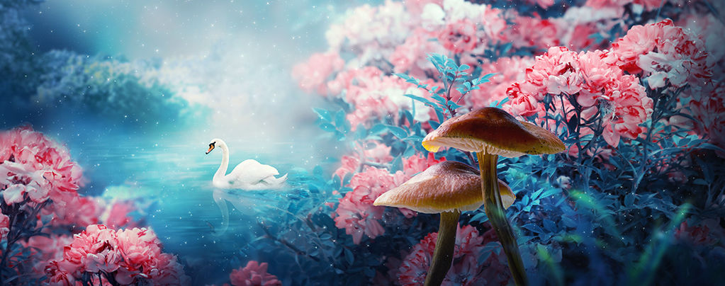 I Funghi Magici Possono Provocare 'Sogni ad Occhi Aperti'?