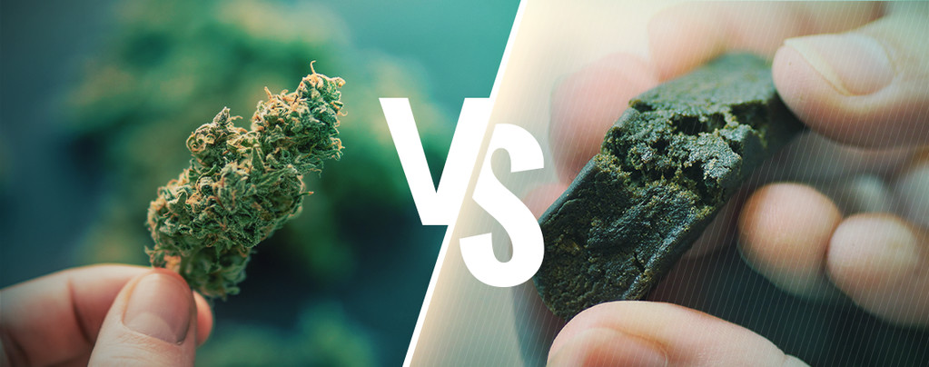 La Differenza Fra Cannabis E Hashish