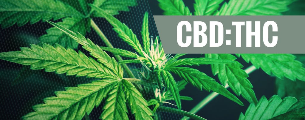 Proporzioni CBD:THC