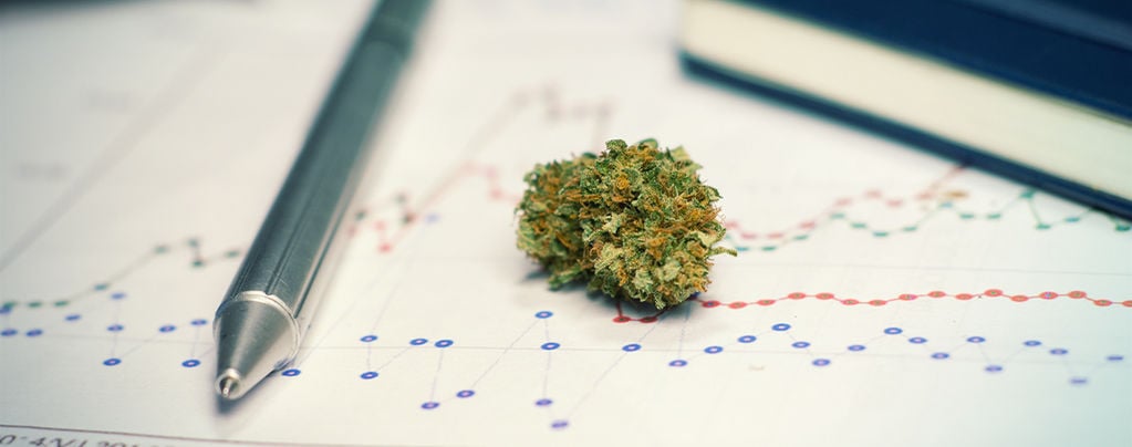 I Pro e Contro Nell’uso Della Cannabis Mentre Si Studia o Ci Si Allena