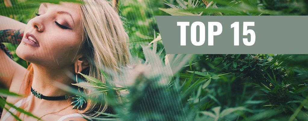 Top 15 Influencer Donna Della Cannabis Su Instagram