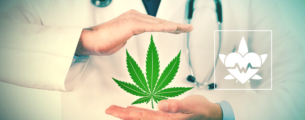 Modo Migliore Per Consumare Cannabis Terapeutica