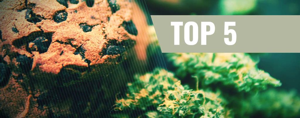 Le 5 Migliori Ricette di Biscotti alla Cannabis