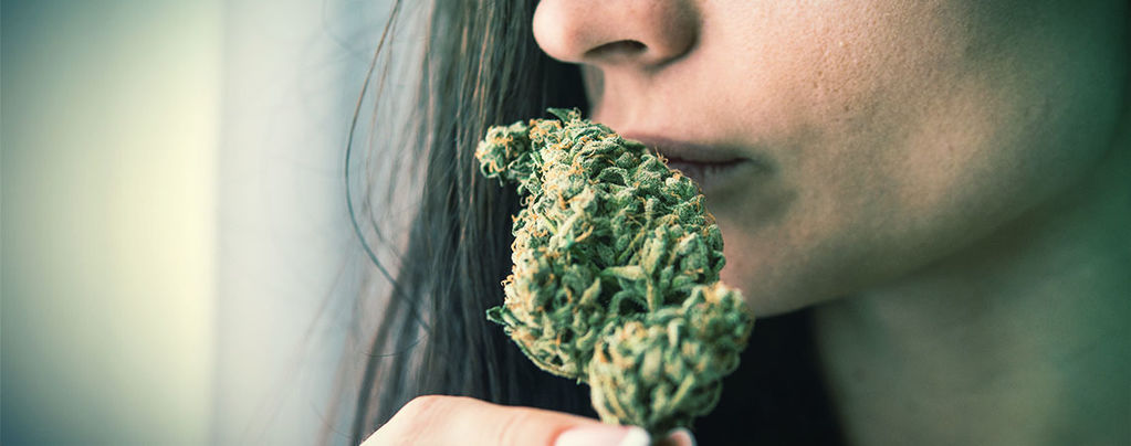 Eliminare L’Odore Di Cannabis