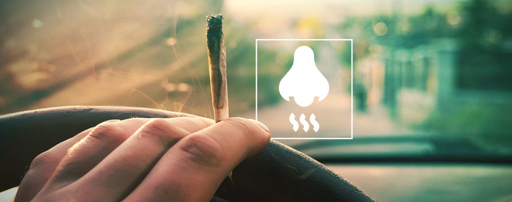 Come Eliminare l'Odore di Ganja dalla Propria Auto