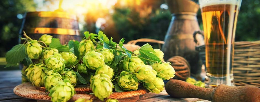 Che Cosa È il Dry Hopping?