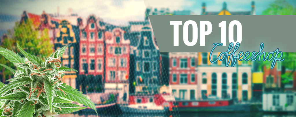 Top 15 Dei Migliori Coffeeshop Di Amsterdam 2018