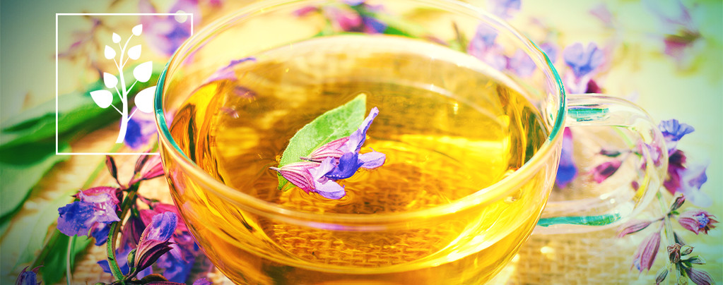 Tè di Salvia Divinorum