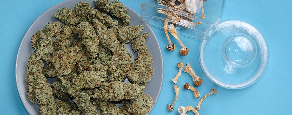 Cannabis E Funghi Allucinogeni: Un Mix Pericoloso?