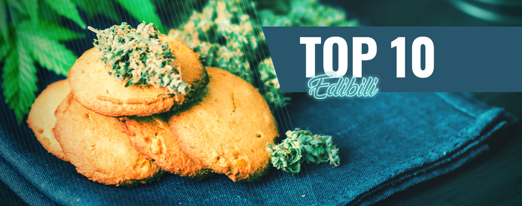 Top 10 Migliori Edibili Alla Cannabis Ad Amsterdam