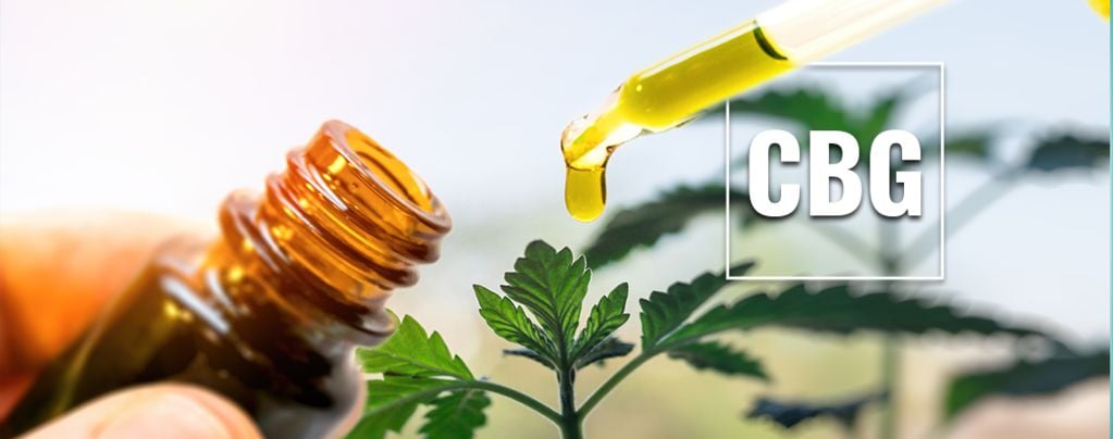 Cos'è l'Olio Di CBG?