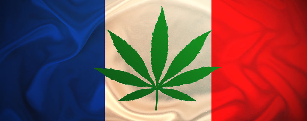 La Francia Distribuirà La Cannabis Gratuitamente Nel 2021