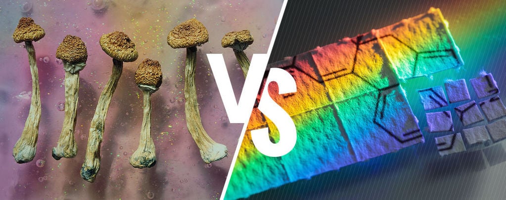 Funghi Allucinogeni Vs LSD: Che Differenza C'è?