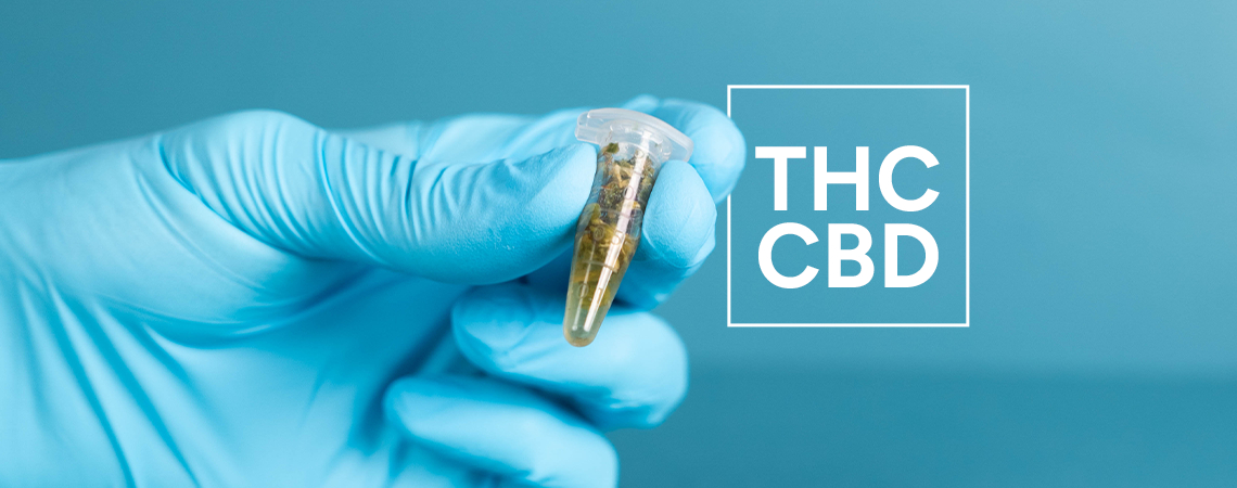 Come Testare I Livelli Di THC E CBD Nei Prodotti A Base Di Cannabis
