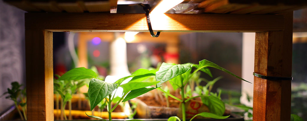 Coltiva la luce per piante da interno, luci di coltivazione delle