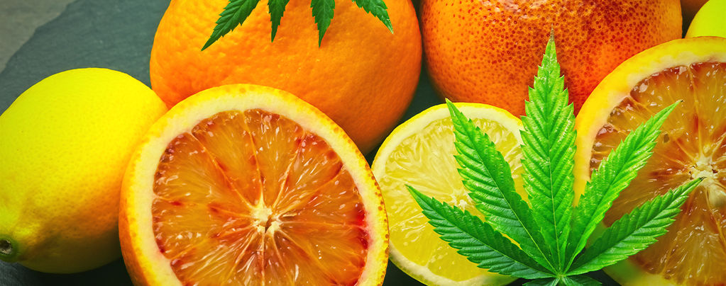 Cos'è Il Limonene Nella Cannabis?