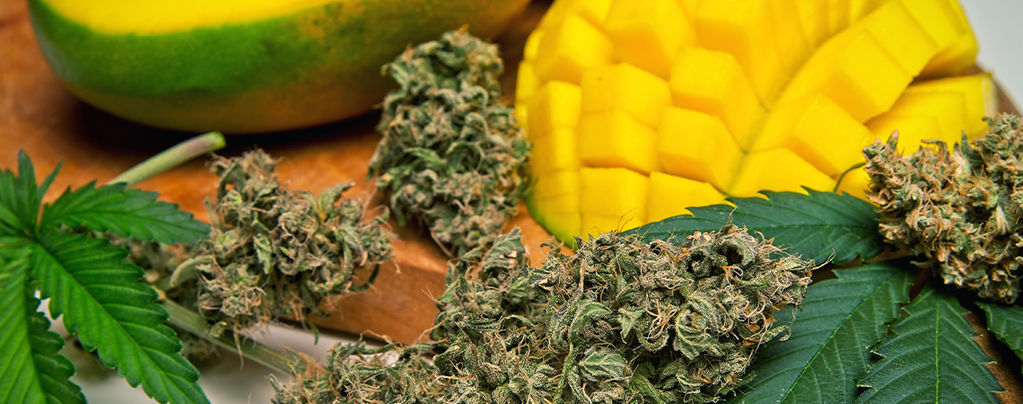 Cos'È Il Mircene Nella Cannabis?