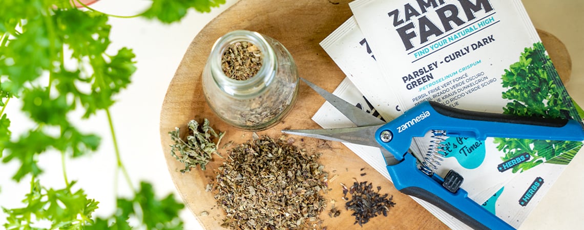 Come Essiccare Le Erbe In Casa