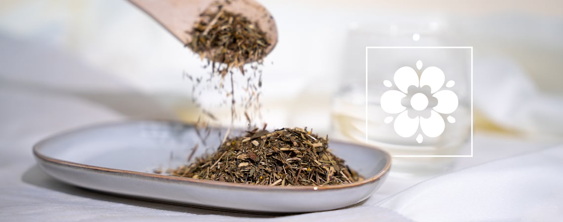 Cos'è Il Dragoncello Messicano (Tagetes Lucida) E Come Prepararlo