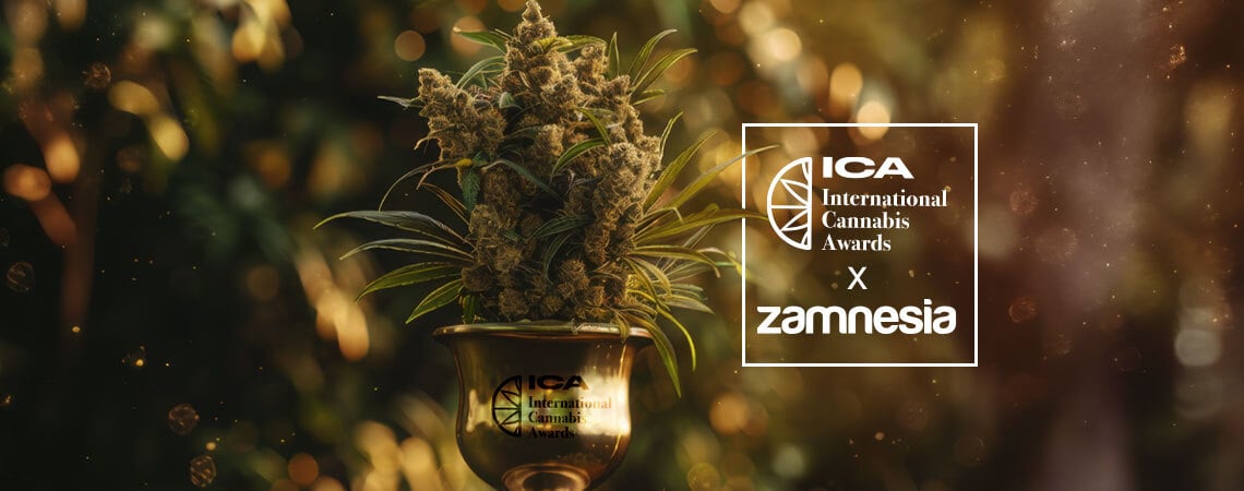 International Cannabis Awards 2024: Zamnesia Vince Alla Grande