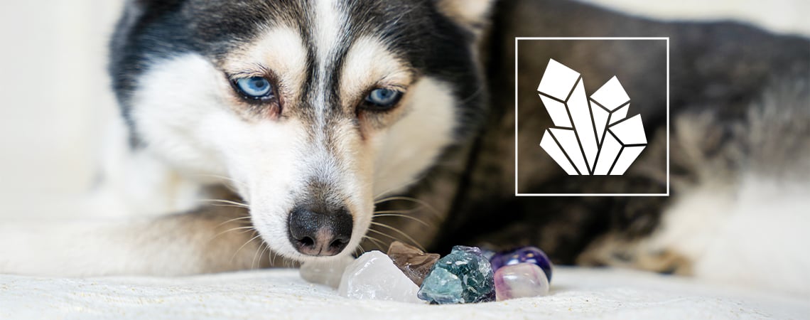 Gemme e pietre preziose per il benessere degli animali domestici