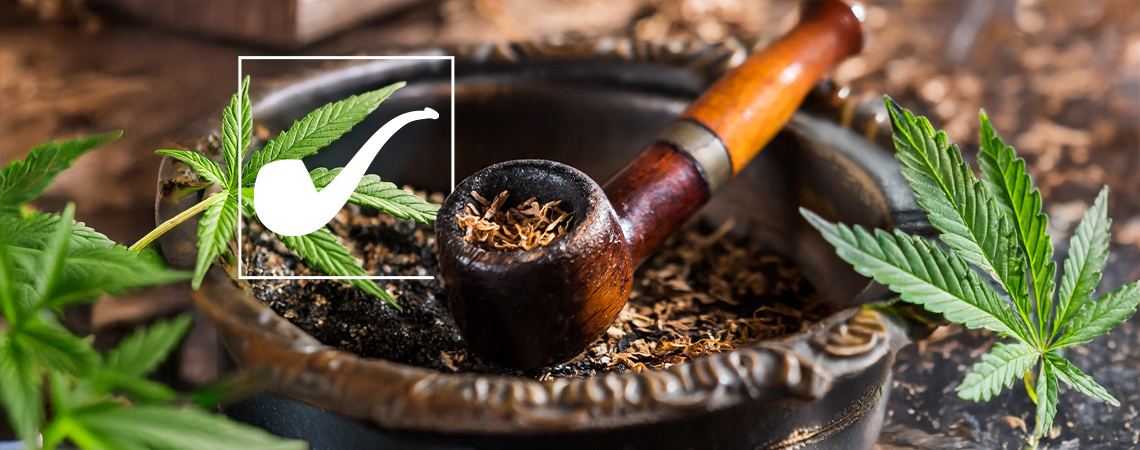 L’erba pipa di Pianilungone nel Signore degli Anelli è davvero marijuana?
